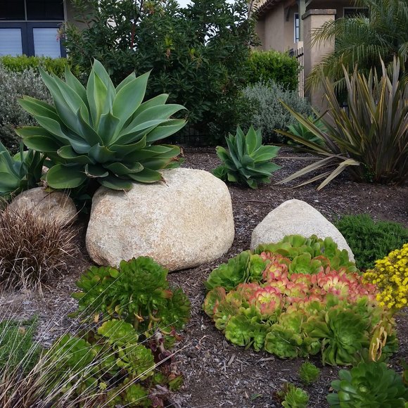 Meet your Posher, Posh - Picture 6 of 10